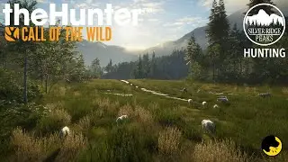 Silver Ridge Peaks Hunting | theHunter: Call of the Wild