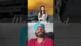 Pakistan Reporter Say To Destroy India in Nuclear Weapon| Modi Attitude status😈 #modi #shorts #viral