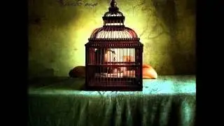 Arivela Rouge - Augurio | Prod. Judubre