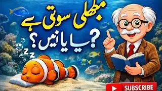 کیا مچھلی سوتی ہے یا نہیں؟Do Fish Sleep or Not?