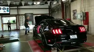 Shelby Gt350 Lund racing E85 flex tune. 497hp 8500rpms