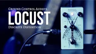 Achieve Killer Tones with this One Pedal!!! | Ground Control Audio's Locust Distortion (Demo)