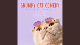 Grumpy Cat Comedy