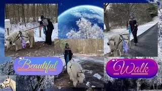 This Tiny Horse Walk Adventure Will Make You