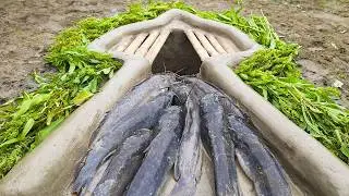Catch Fish With Trap | Fishing Video