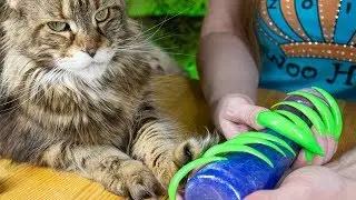 Залипательный СЛАЙМ. Обзор новой коллекции слаймов.