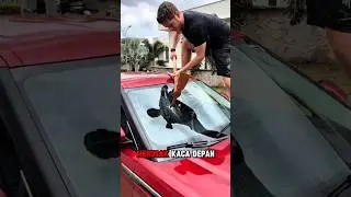 Cairan memperbaiki kaca yang retak‼️#fyp #trending #viralshort #shortsfeed #viralvideo