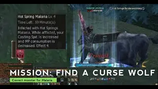 Malaria curse guide Extended version