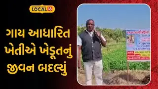Patan Agriculture News |  ગાય આધારિત ખેતીએ ખેડૂતનું જીવન બદલ્યું | Gujarati Samachar | Local18