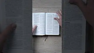 The Message Devotional Bible | Eugene H. Peterson | Leather-Look Driftwood Dove  #spiritualgrowth
