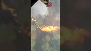 Massive forest fire