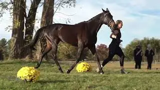 Katy Raynor & Vanilla Waredaca Classic 3 Day and Horse Trials 2025