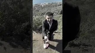 Normal animals vs penguins when their mate dies. #shorts #skit #funny
