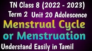 Menstrual Cycle or Menstruation| Class 8 Science Term 2 Unit 20 @deepikasciencecorner