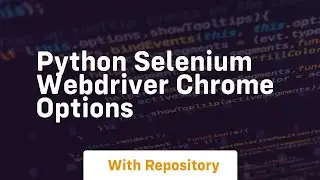 python selenium webdriver chrome options