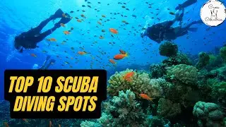Top 10 Most Awesome Scuba Diving Spots Ever| Travel Guide| Top Scuba Destinations across the World