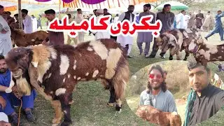 Most Beautiful Bakra Mela Jarahi Rajdhani 2022||Kotli Azad Kashmir