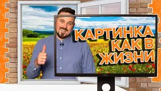 МОНИТОР ДЛЯ РАБОТЫ И ИГР. КАРТИНКА КАК В ЖИЗНИ! Обзор Dell P2417H