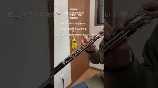 Theo Markardt Erlbach #吹奏楽 #oboe #doublereed #オーボエ #music #試奏 #吹いてみた オーボエ 試奏動画