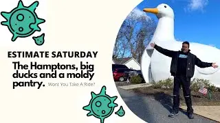 The Hamptons, Big Ducks And A Moldy Pantry!