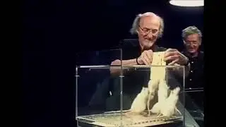 1989 year Didier Desor's experiment with rats French scientist Didier Desor