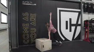 Bear plank box twist