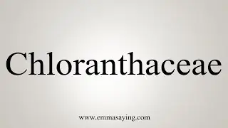 How To Say Chloranthaceae