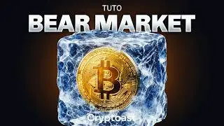 What to do when crypto falls?