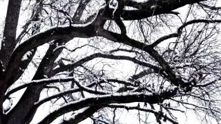 SNOW IN JACKSON MISSISSIPPI by THOMAS GRILLO