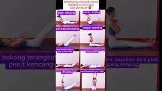 READY TrailTop Tummy Trimmer Alat Fitness Olahraga Otot Perut  