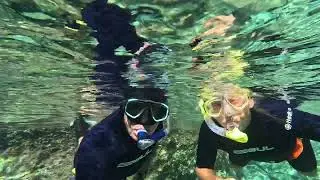 Amazing Marine life in Mellieha & Paradise Bay Malta