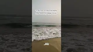 Beache &  Peace #beach #sea #winter #india #viral #fyp #explore #trending #sunset #peace #tbt#shorts