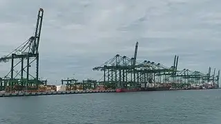 Baru❗Automated Container Terminal 🏗 🚢 [ACT] | Truck Remote Control #automation #container #singapore