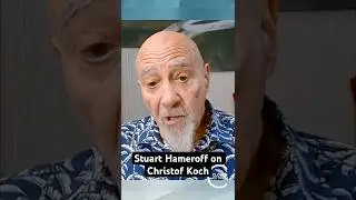Стюарт Хамерофф о Кристофе Кохе, искусственном интеллекте и сознании