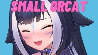 Chat bullies Shylily