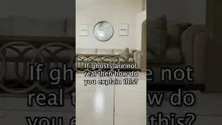 Dog ghosts have been confirmed 👀