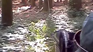 Field Target at SPARC
