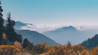 Leslie Dowling Live Stream