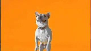 Novo comercial PEDIGREE®