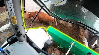 Farmers POV - Hauling Manure Out Of The Barn | Lamborghini Strike 95 Trend