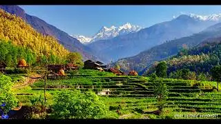Nepali Lok Dhun ll Bikram Bhujel ll