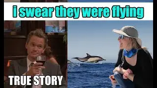 Endure another sequence of storms plus we lost a phone Sailing GOAT Ep 22