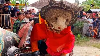 kembali virall.‼️ joki perempuan kucingan banyuwangi terbaru 2023