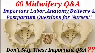 TOP 60 midwifery  Nursing MCQ/ Midwifery questions & Answer, obstetric & Gynecology MCQ