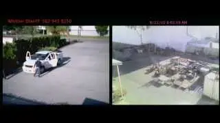 fruit theft.mov