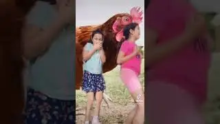 NEW CHICKEN DANCE AND CHALLENGE!!!!😂😂🤣🤣 #chickendance #chickenchallenge #tiktoknikkiandmomo