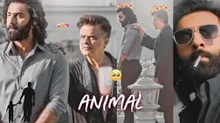 Nanna Nuvvu Naa Pranam Animal Movie Song | Ranbir Kapoor Father's | WhatsApp Status 🥺