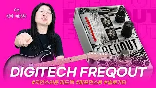 피드백을 음악처럼!! Digitech 이펙터 FREQOUT #투데이스기어 #todaysgear #디지텍 #이펙터페달 #프릭아웃