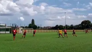 Norwich eagles