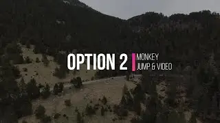 Option 2- Montage Personnalis&eacute;